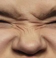 Bunny Nose Lines
